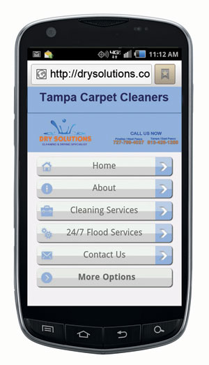 Example of mobile website for cleaning biz
